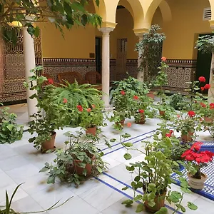 https://estudio-centro-con-cocina.es-andalucia.com